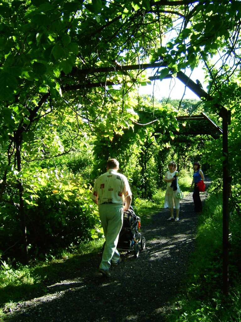 Walkway with walkers