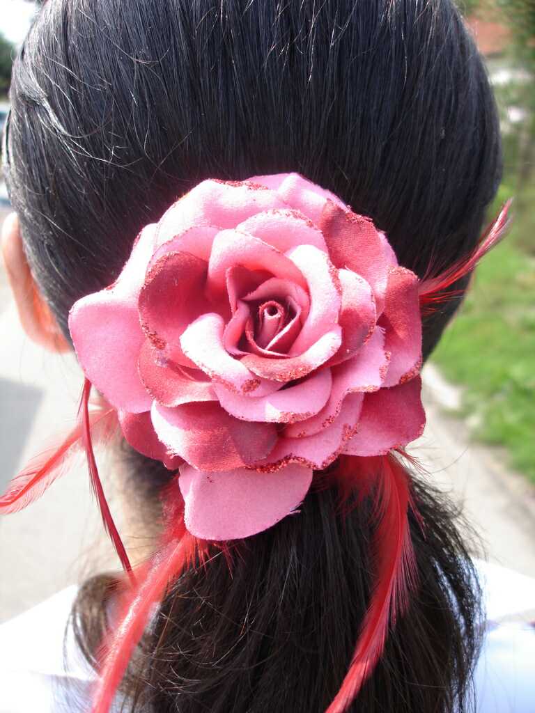 Galya's hair ribbon thingy