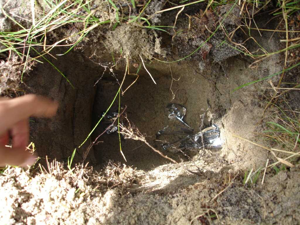 Zurabe clad in tin foil