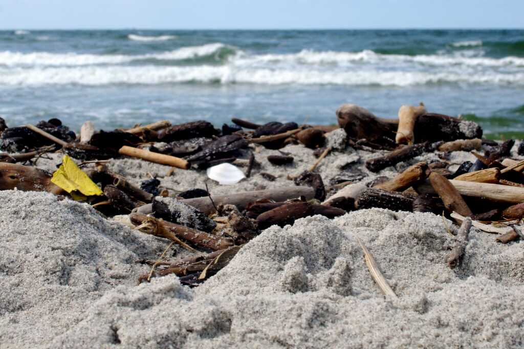 The trash on the beach