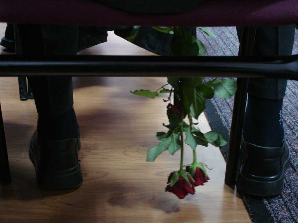 Roses between the legs