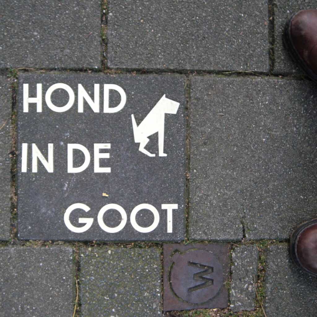 Explanation, please?