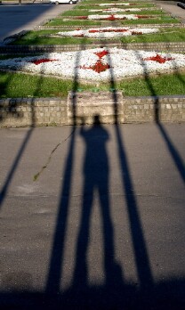 Shadow of self
