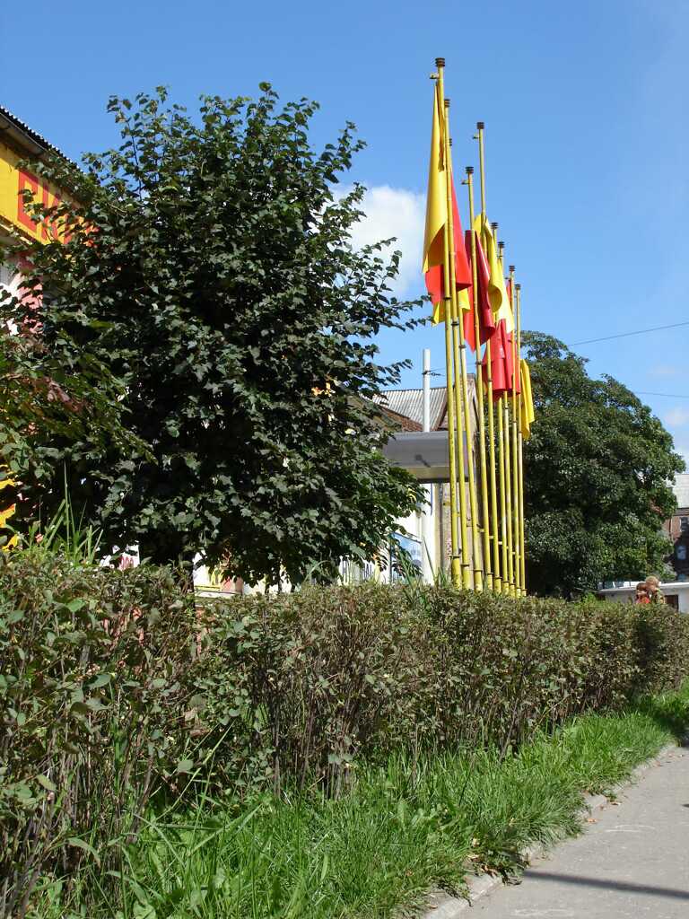 Flags in front of the market